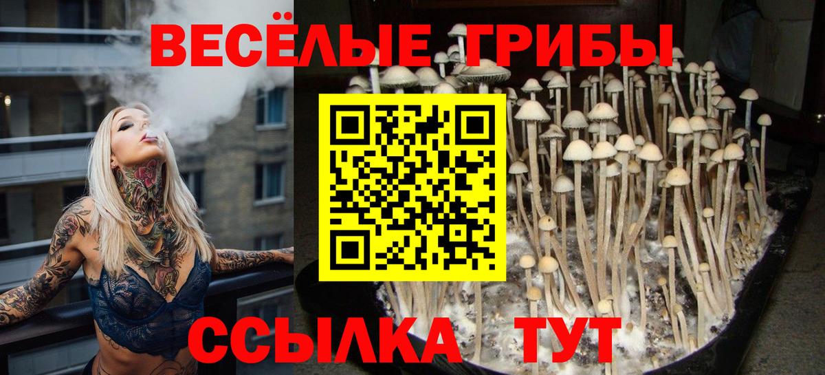 Нягань  даркнет сайт  Вход с VPN  Псилоцибиновые грибы прущие грибы 