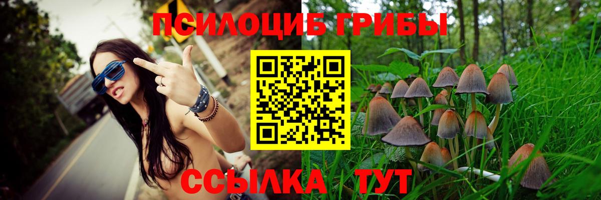 Псилоцибиновые грибы Psilocybine cubensis Нягань